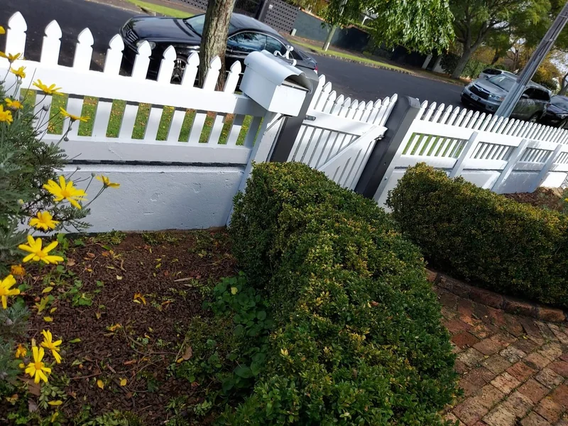 Fence Painting